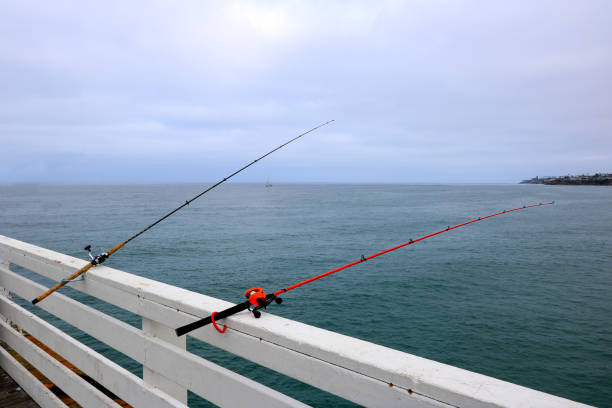 istock Fishing Rods at Crystal Pier, San Diego, CA 1898461602