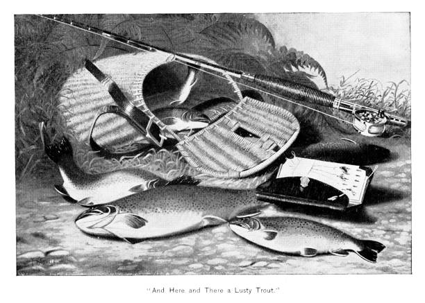 ilustrações de stock, clip art, desenhos animados e ícones de fish in "a lusty trout" by artist thomas sedgwick steele - fish lips illustrations