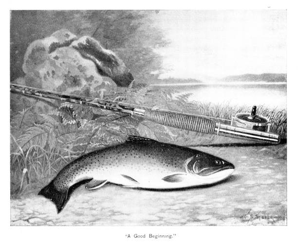 ilustrações de stock, clip art, desenhos animados e ícones de fish caught in "a good beginning"  by artist thomas sedgwick steele - fish lips illustrations