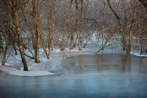 Guadalupe River State Park has a big rock in the middle of the river and color changing trees  in Spring Branch, Texas