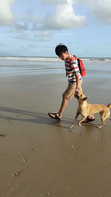Kid Playing With His Pet Dog On The Beach