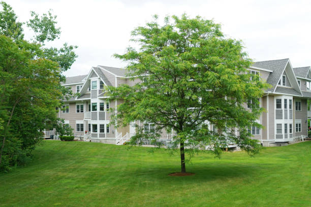 istock green tree and meadow in front of modern apartment building 1898822583