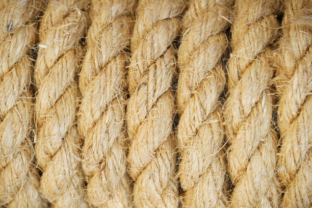fondo de cuerda de cáñamo textura de cuerda de cáñamo cuerda de cáñamo grande agrupada - fotos de ahorcamiento fotografías e imágenes de stock