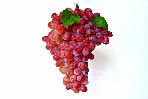 bunch of grapes  close up