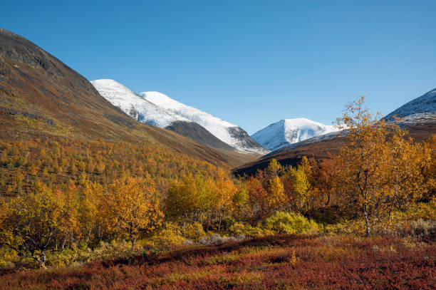 istock Autumn colors in the Swedish Mountains 1898953510