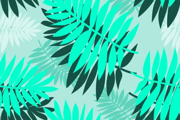 Vector illustration of seamless pattern tropical palm leaves on bue sky background