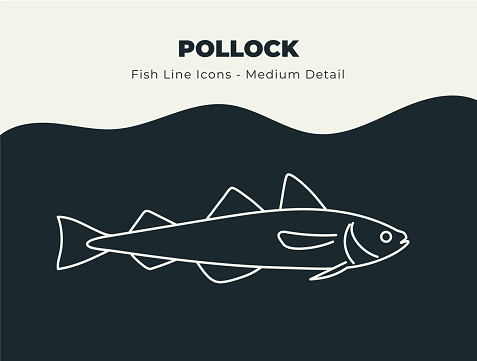 Line icons of pollock fish, seafood and other and marine life to be used for infographics, posters, flyers, web banners, print banners, promotions, descriptions and education.