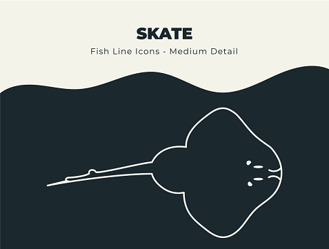Line icons of skate fish, seafood and other and marine life to be used for infographics, posters, flyers, web banners, print banners, promotions, descriptions and education.