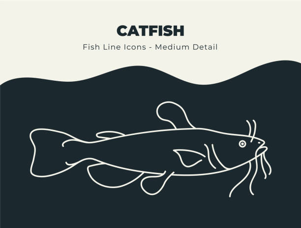 Catfish - Ocean and River Fish Line Icon Set. Dive into a Sea of Creative Icons with Fish and Seafood Stock Vectors, Includes Illustrations of Fish Scales, Fins, and Aquatic Marine Life vector art illustration