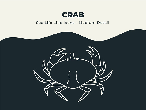 Line icons of crab fish, seafood and other and marine life to be used for infographics, posters, flyers, web banners, print banners, promotions, descriptions and education.