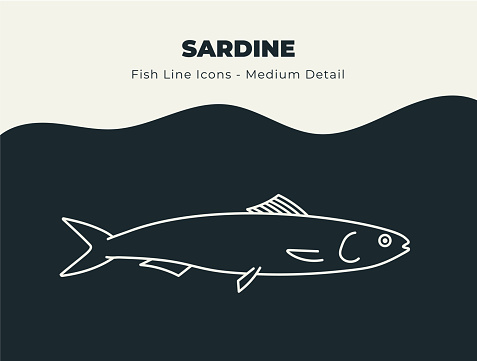 Line icons of sardine fish, seafood and other and marine life to be used for infographics, posters, flyers, web banners, print banners, promotions, descriptions and education.