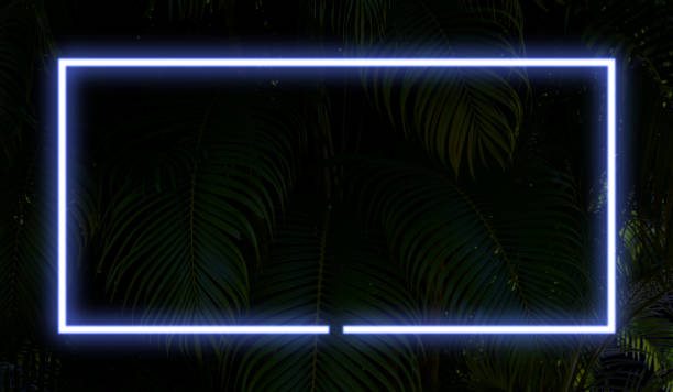 istock dark blue neon light and leaves palm background and rectangle shape with horizontal banner. 1899136759