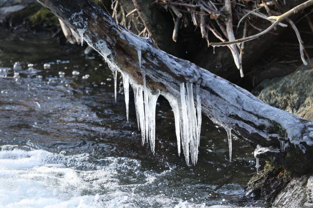 istock Icicles on a tree trunk in a stream in winter. 1899137800