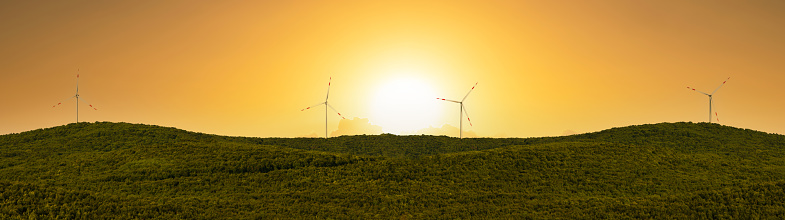 Wind turbines over the forest at sunrise or sunset
