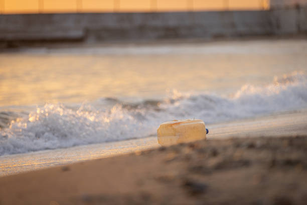 Bottleneck Beach