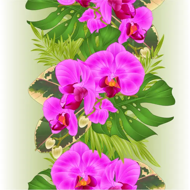 Vector illustration of Floral vertical border seamless background with tropical flowers beautiful purple orchid, palm,philodendron and ficus vintage vector illustration  editable hand draw