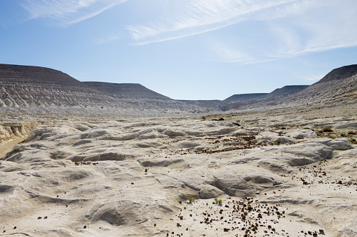 Jylshy canyon view, Mangystau region, Kazakhstan. Central asia travel