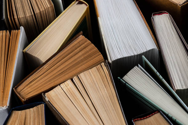 istock Lots of books 1899350280