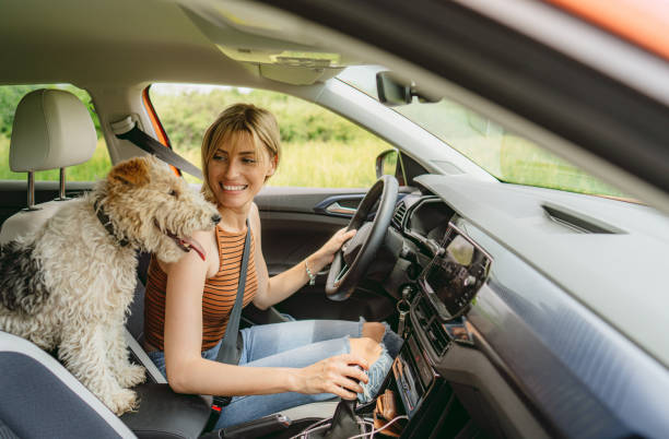 istock On the road together 1899364877