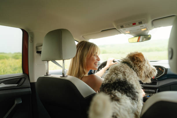 istock On the road together 1899365402