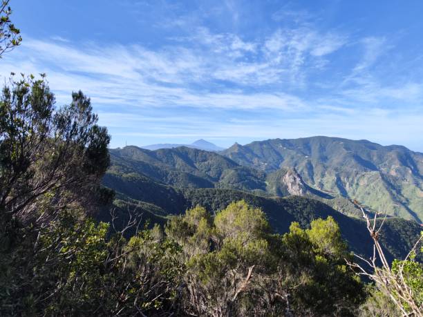 istock Anaga and Teide in Tenerife 1899369664