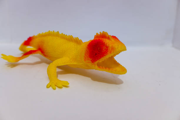 istock a toy lizard made of orange plastic 1899439480