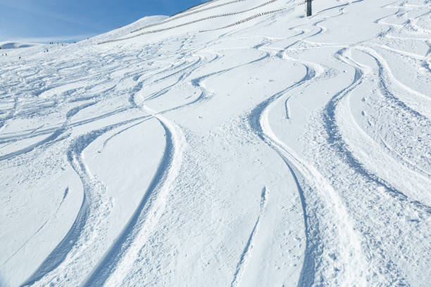 istock Trails in powder snow at winter ski resort 1899452025