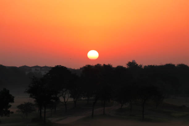 beautiful golden morning sun rise and trees