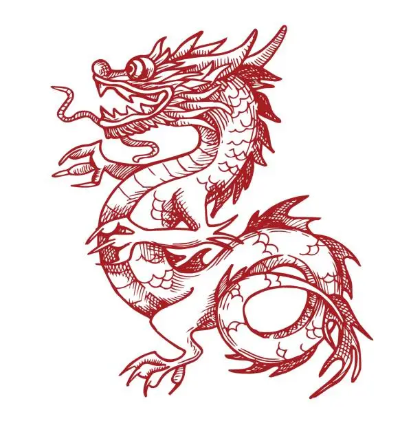 Vector illustration of vector drawing of a Chinese dragon in sketch style. linear illustration, symbol of the year, oriental culture