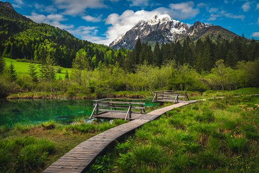 One of the most famous small turquoise mountain lake in Slovenia. Wooden bridge and walkway with Lake Zelenci situated near Kranjska Gora, Slovenia, Europe