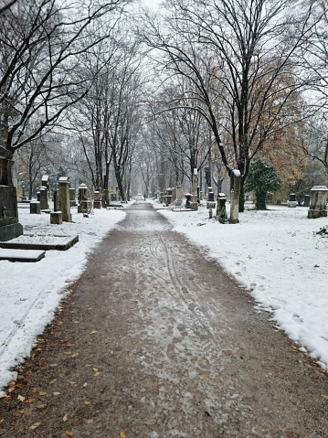 The Alter Südfriedhof (Old South Cemetery) is a cemetery in Munich, Germany. It was founded by Duke Albrecht V as a plague cemetery in 1563. The image shows a main avenue capture don a snowy day during winter season.