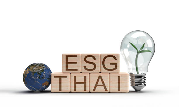 istock Earth planet world circle round map lamp lightbulb plant leaf tree wooden square block Thai ESG symbol decoration ornament Thai esg business fund loan wealth asian nature corporate growth technology 1899530770
