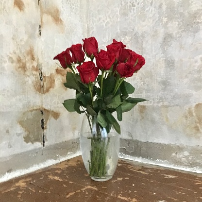 one dozen red roses in glass vase in the corner of a room with concrete walls and wooden slat floor in the midst of renovation