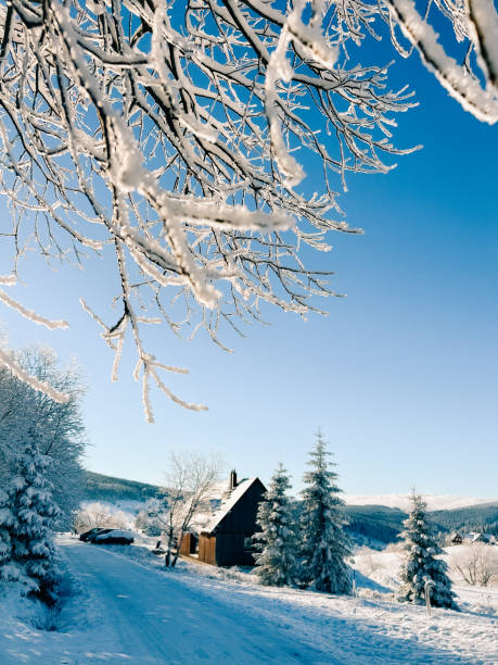 istock Snowy forest on a sunny day, snow drifting in the mountains 1899617343