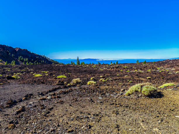 istock Moon Landscape on El Teide, Tenerife 1899654002