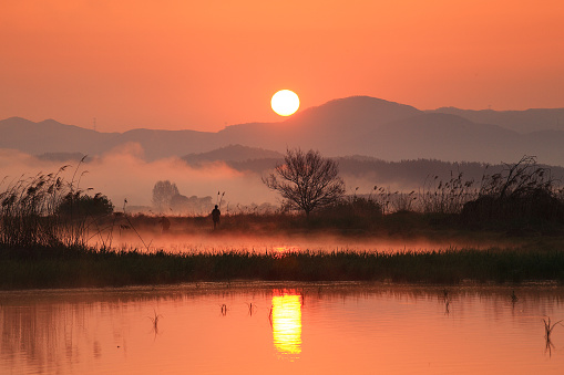 The sunrise view of Upo Wetlands in South Korea