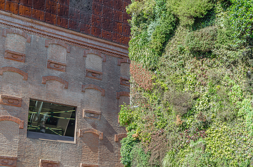 Madrid, Spain - February 23, 2014: The CaixaForum cultural center in Madrid, Spain, accompanied by a vertical garden, the work of French landscape designer Patrick Blanc