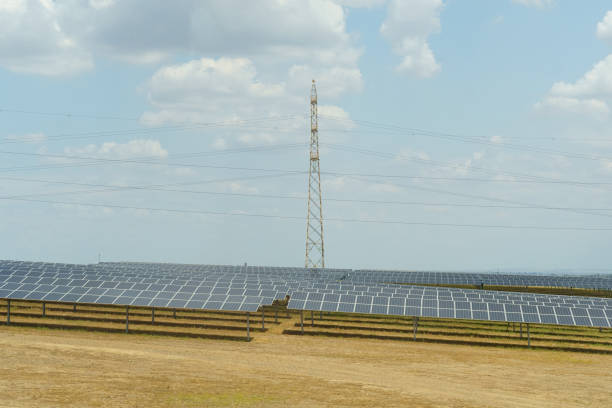 Solar panels on the field in summer, side view.