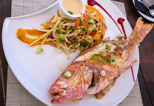 Grilled Fresh Red Snapper Served with Vegetable Salad on a Bed of Pureed Sweet Potatoes and on a White Plate Decorated with Raspberry Coulis