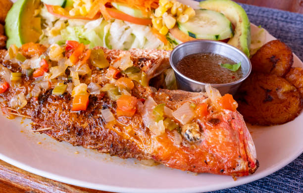 Red Snapper Served Creole Style Served with Vegetables