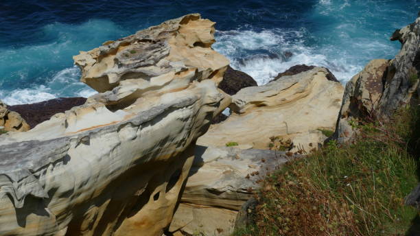 istock Sandstone with plants on the sea shore 1899806441