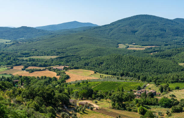 el hermoso pueblo de chiusdino en una soleada mañana de verano. provincia de siena, toscana, italia. - tuscany florence italy chianti region italy fotografías e imágenes de stock