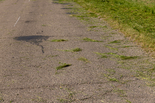 the edge and shoulder of the road are in green mown grass, green grass not removed from the road after mowing grass in summer