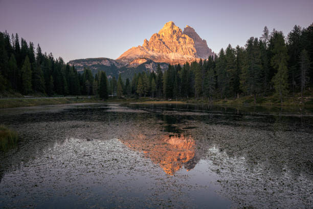 istock Trees reflecting in Lago d'Antorno 1899851972