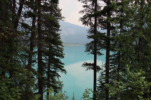 Emerald Lake between two trees