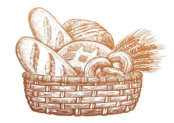 Vector illustration of Basket full of baked goods. Bread and pastry, sketch vintage vector illustration