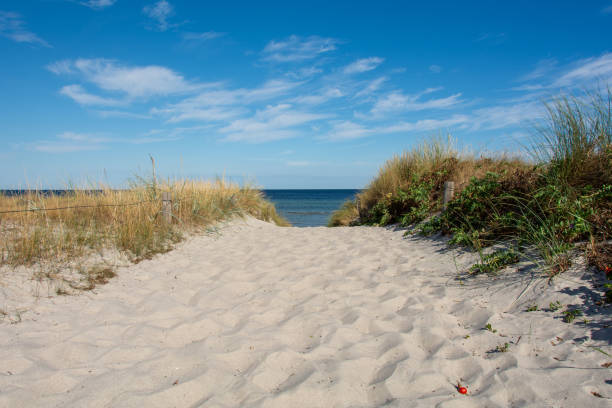 istock Path between the sand dunes overlooking the sea 1899950404