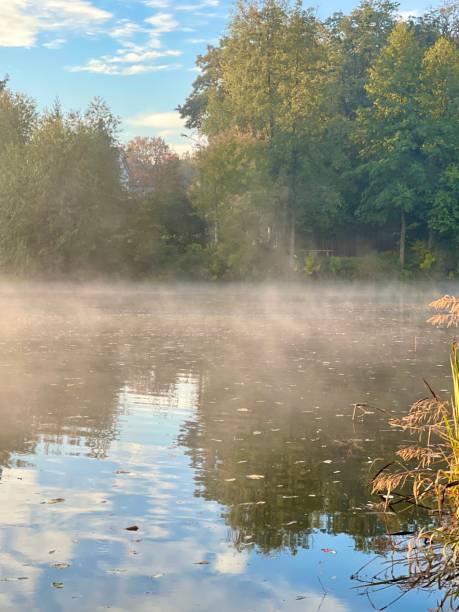 istock Morning. Fog 1899967388