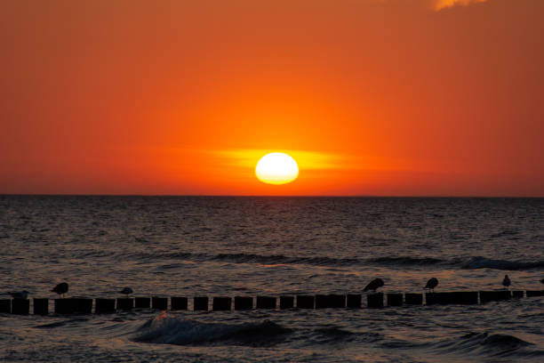 istock Sunset over the sea with breakwaters and birds 1899968224