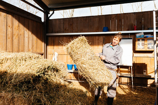 Adult female worker in outerwear carrying hay bale while working in barn during daytime